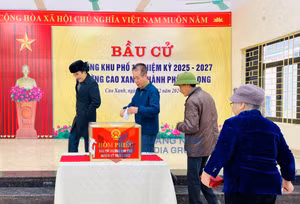 Ảnh 17