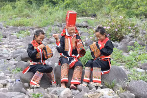 Ảnh 11