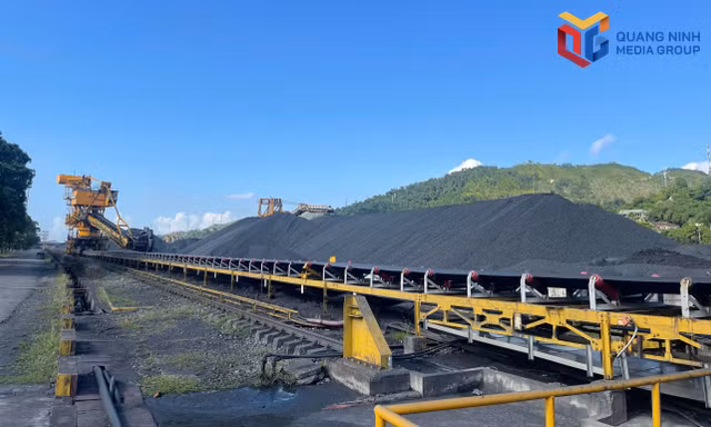 Công ty Tuyển Than Cửa Ông tăng tốc thi đua sản xuất những tháng cuối năm 2026.