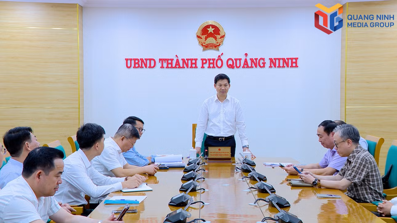 bqn_tr_dc-cong.jpg