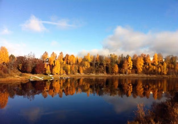  Dalarna, Thụy Điển: Hơn một nửa diện tích quốc gia được rừng bao phủ, Thụy Điển là một 