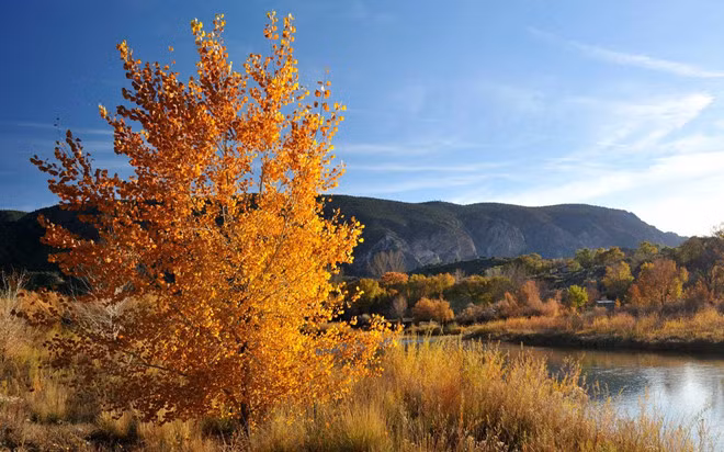 Taos, New Mexico: Những ngọn núi phía bắc của bang New Mexico có vẻ đẹp khác lạ khi thu sang. Du khách có thể lái xe ra khỏi thành phố, đi dọc con đường Enchanted Circle để ngắm cảnh. Ảnh: Travelandleisure