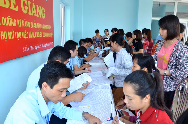 Cán bộ trung tâm dịch vụ việc làm tỉnh tư vấn, giới thiệu việc làm cho người lao động