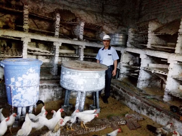 Các máng ăn thông minh được áp dụng trong chăn nuôi của gia đình anh Nguyễn Bá Tâm. Ảnh: Nhân vật cung cấp.