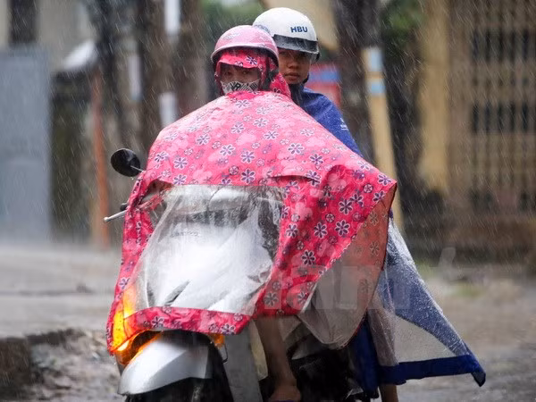 Ảnh chỉ có tính minh họa. (Ảnh: Lê Minh Sơn/Vietnam+)