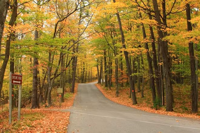 Hạt Door, Winconsin. Để ngắm bức tranh thu tuyệt đẹp ở đây, bạn nên dậy sớm đi thuyền dọc sông Winconsin. Bạn cũng đừng quên tham quan một số nhà máy ủ bia tươi trong vùng. Ảnh: Heardcountry