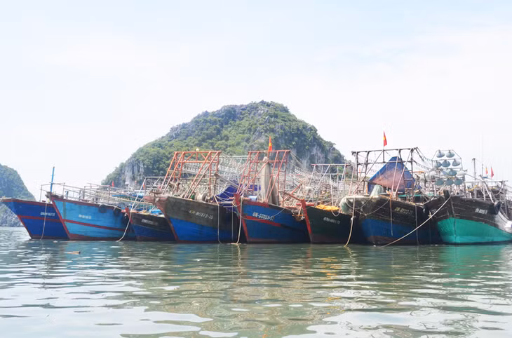 Hiện toàn tỉnh đang có 589 tàu khai thác xa bờ