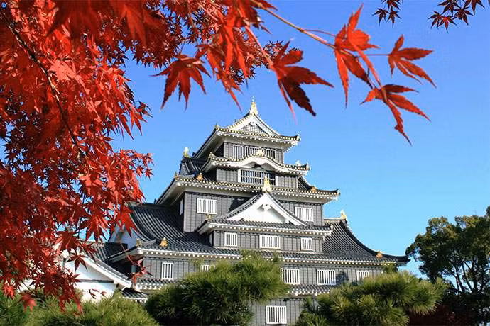Lâu đài Okayama, Okayama: Lâu đài này được xây dựng năm 1597. Chủ sở hữu của lâu đài đã bị bắt và qua đời chỉ 3 năm sau đó mà không có người thừa kế. Tường của tòa tháp chính Tenshukaku có màu đen nên Okayama còn được gọi là 