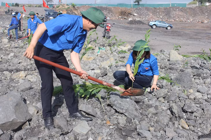ĐVTN Công ty TNHH MTV397 tham gia trồng hơn 4.000 cây keo, phủ xanh hơn 1ha đất trống khu vực hoàn nguyên vỉa 9A, 9B tại khai trường của Công ty.