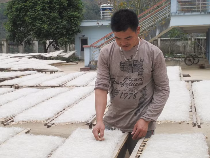 La A Nồng, Giám đốc HTX Phát triển Đình Trung, thôn Nà Ếch, xã Húc Động (Bình Liêu), hiệu quả với mô hình sản xuất miến dong và tạo nhiều việc làm cho ĐVTN địa bàn.