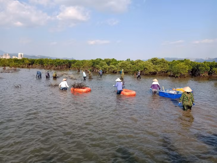 Xã Thống Nhất ra quân