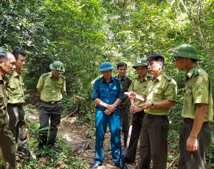  Ban Quản lý rừng và chính quyền các địa phương đã góp phần phát hiện, ngăn chặn, xử lý kịp thời các hành vi xâm hại rừng phòng hộ hồ Yên Lập
