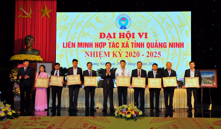 Các tập thể có thành tích, đóng góp tích cực được nhận Bằng khen của 