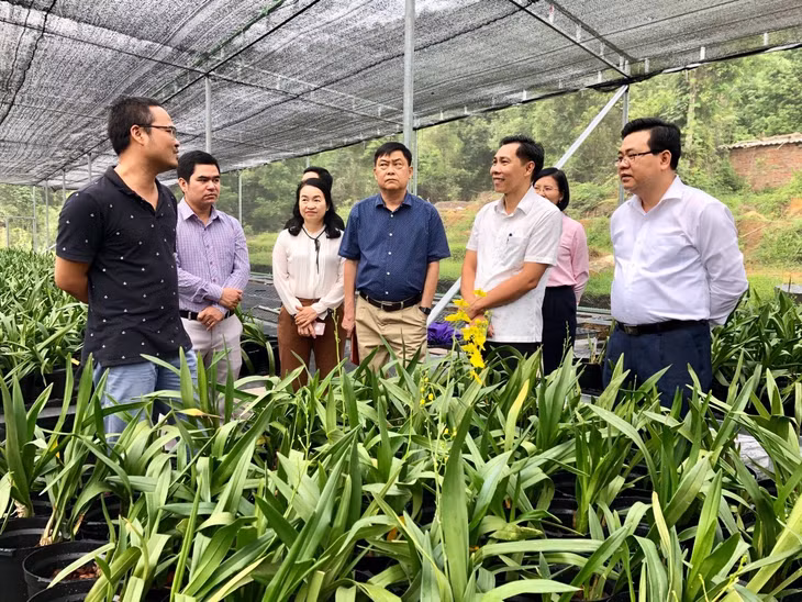 Lãnh đạo Sở KH&CN trao đổi với doanh nghiệp KH&CN tại huyện Bình Liêu.