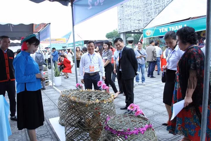 Các chú gà sẽ được tuyển chọn dựa trên nhiều tiêu chí khác nhau.