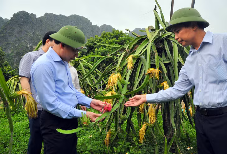 Đồng chí Bí thư Tỉnh ủy, Chủ tịch HĐND tỉnh thăm mô hình kinh tế của bà con nhân dân xã Đồng Lâm.