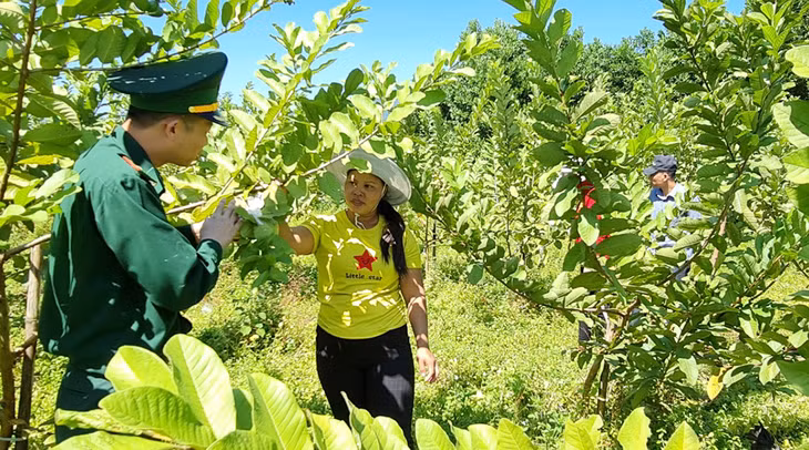 Cán bộ Đồn Biên phòng Pò Hèn hướng dẫn người dân kỹ thuật chăm sóc cây ăn quả.