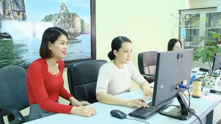 Ban Thư ký Liên hoan 