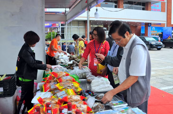 Các đại biểu tham quan