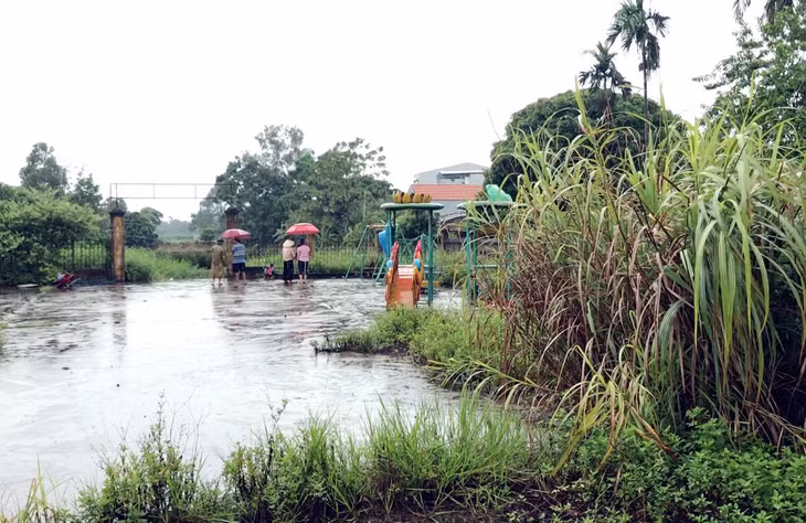 Khu vui chơi cho trẻ em ở xã Phú Hải cũ, nay là khu Phú Hải, thị trấn Quảng Hà, huyện Hải Hà do không có người trông coi , cỏ mọc um tùm