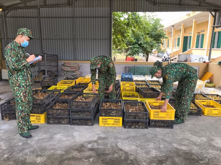 Lực lượng chức năng kiểm đếm, lập biên bản xử lý hàng nhập lậu. 