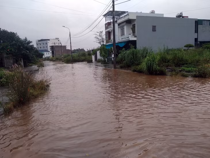Mưa lũ gây ngập úng tại khu dân cư phố Ngô Quyền, thị trấn Quảng Hà.