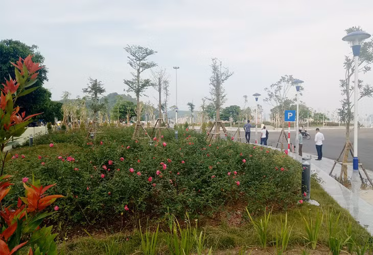 dự án công viên ven biển khu vực dưới chân đền, qua đó, không gian khu di tích khang trang, khoáng đạt, sạch đẹp. 