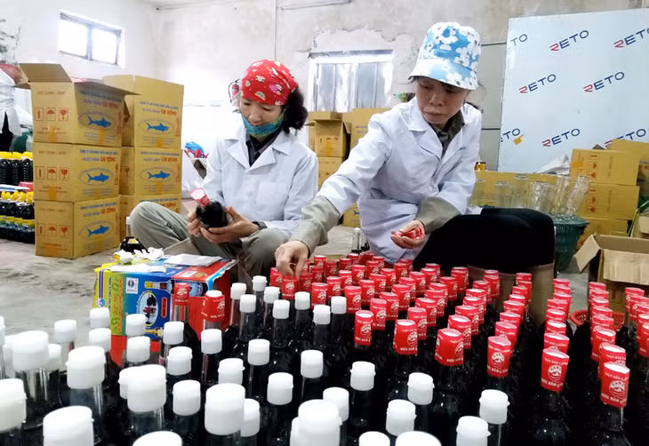 Chế biến nước mắm sá sùng Vân Đồn tại Công ty CP Thủy sản Cái Rồng.