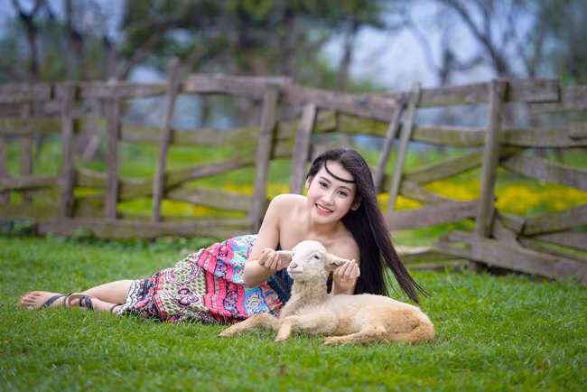"Rất khó để bầy cừu ngoan ngoan cho mình tạo dáng cùng. Phải mất khá nhiều thời gian mình mới làm quen và chơi được với chúng", Anh Phương nói.