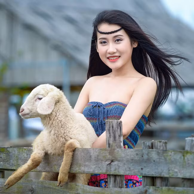 Không cần lặn lội lên Mộc Châu, Hà Giang hay tìm về vùng biển Ninh Thuận, Vũng Tàu... giới trẻ Hà thành cũng có được những shoot hình đẹp lung linh với hoa và cừu ở ngay ngoại thành Hà Nội.