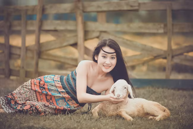 Nơi đây quy tụ nhiều loài hoa màu sắc như: hoa cúc, thạch thảo, hoa hồng... và đặc biệt là bầy cừu xinh xắn, thân thiện với con người.