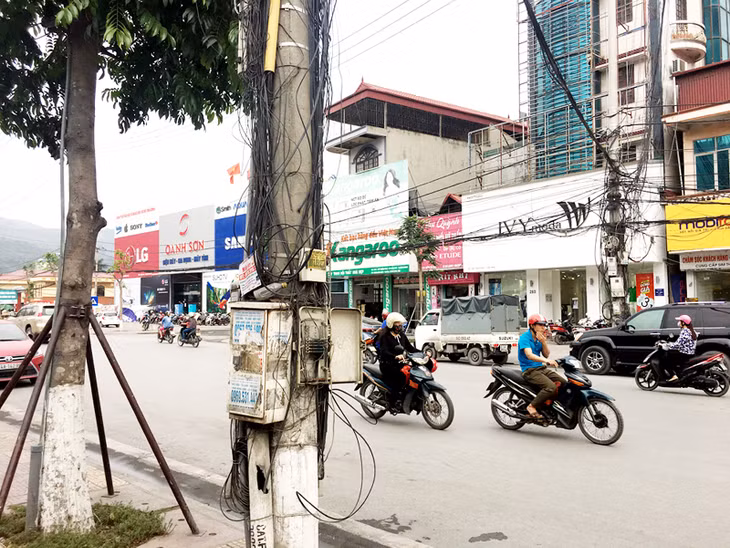 Những “mạng nhện” ở TP Cẩm Phả sẽ được xoá bỏ trước 30-6.