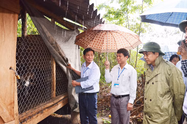 Đồng chí Phó Chủ tịch Thường Trực UBND tỉnh Đặng Huy Hậu kiểm tra thực tế mô hình nuôi dê tại thôn Khe Tre, xã Kỳ Thượng, huyện Hoành Bồ