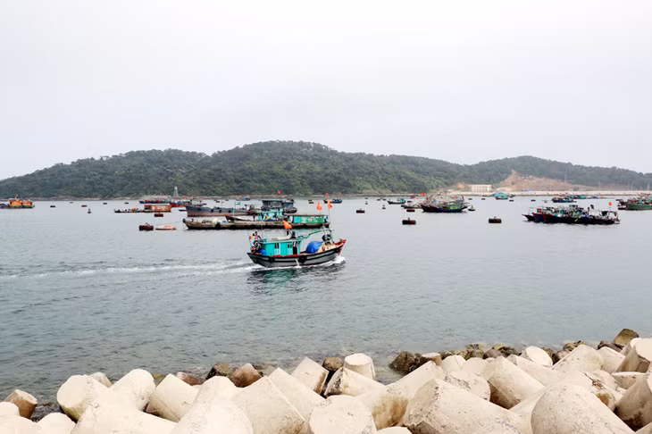 Trung tâm dịch vụ hậu cần nghề cá Bắc Vịnh Bắc bộ có thể đón hàng nghìn tàu thuyền ra vào và neo đậu.