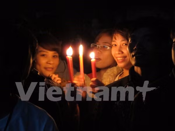 Ảnh chỉ mang tính minh họa. (Nguồn: Đức Duy/Vietnam+)