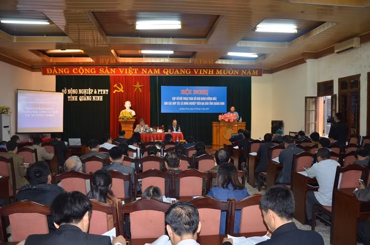 Quang cảnh hội nghị