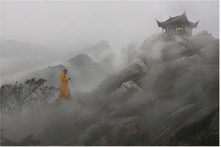 Bức ảnh 