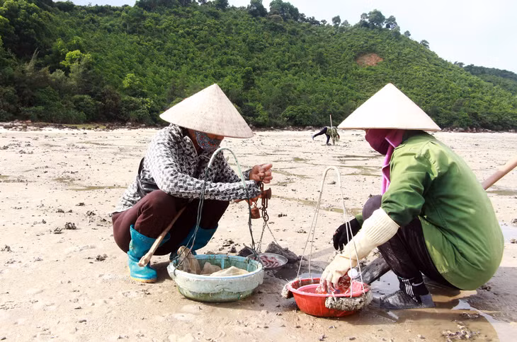 Nghề khai thác sá sùng mang lại thu nhập lớn cho người dân xã Minh Châu.