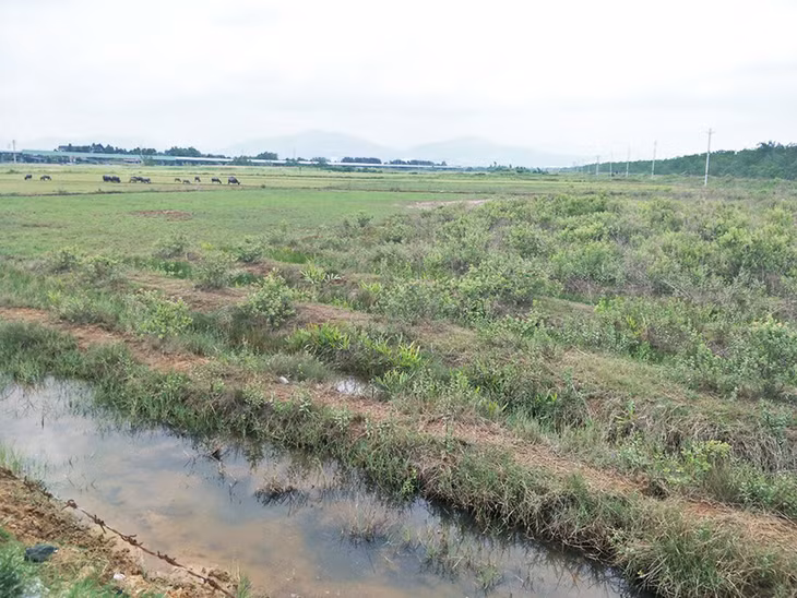 Khu vực triển khai dự án.