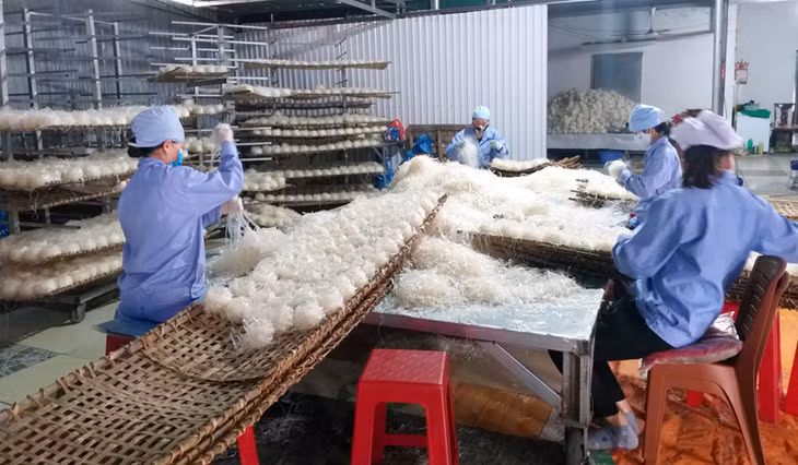 Cơ sở sản xuất bánh đa gia truyền Tuấn Anh tại khu Tân Lập 3, phường Cẩm Thuỷ (TP Cẩm Phả) góp phần tạo việc làm và thu nhập cho lao động ở địa phương.