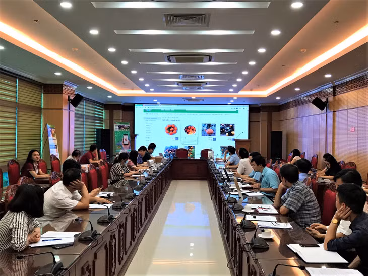Hội thảo thử nghiệm hệ thống truy xuất nguồn gốc nông sản của Sở NN&PTNT để chuẩn bị đưa vào ứng dụng vào tháng 8/2020.