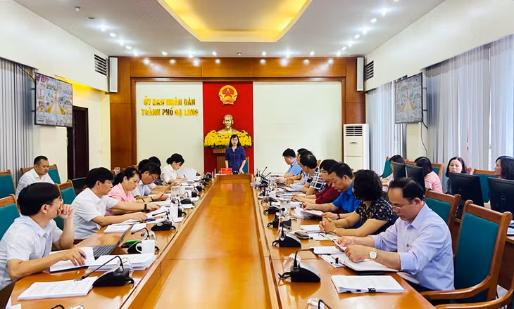 Đồng chí Trịnh Thị Minh Thanh, Phó Chủ tịch Thường trực HĐND tỉnh phát biểu kết luận cuộc họp. 