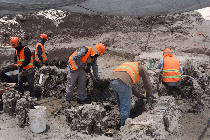 Từ cuối năm 2019 cho tới nay, hóa thạch của khoảng 70 cá thể voi ma mút đã được khai quật. Khoảng 10.000 năm trước, khu vực này của Mexico từng tập trung nhiều đàn voi ma mút sinh sống trong những đồng cỏ tươi tốt và quanh hồ nước.