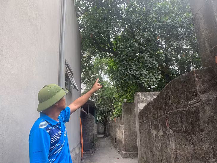 Ông Đặng Đình Ninh, Bí thư Chi bộ, Trưởng khu 5 chỉ cho phóng viên thấy được những đám bụi phủ trắng cây cối. 