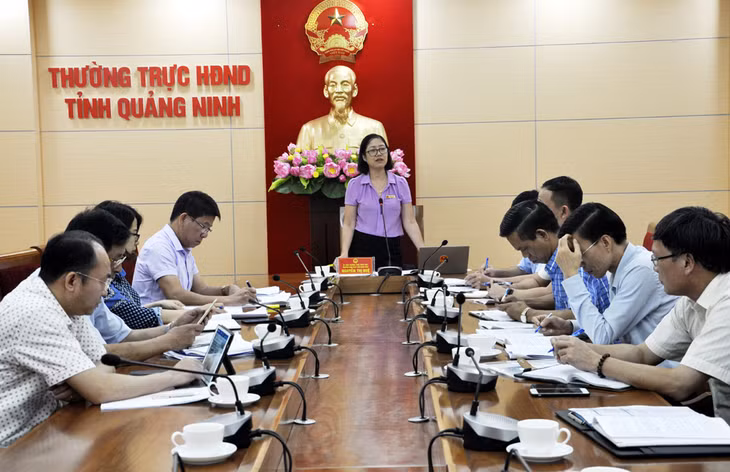 đồng chí Nguyễn Thị Huệ, Trưởng Ban Pháp chế phát biểu tại buổi làm việc.