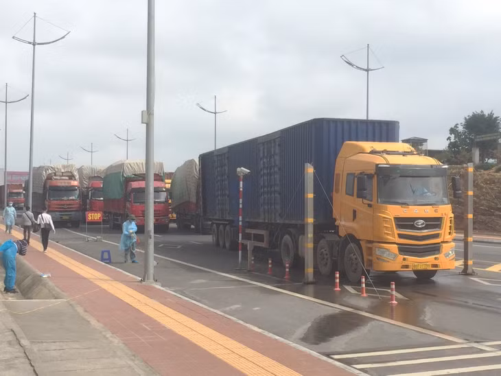 Nhập khẩu hàng hóa qua Cầu Bắc Luân II.