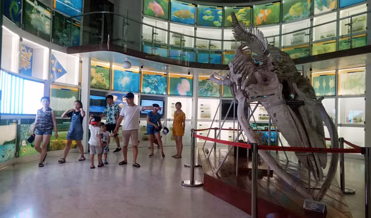 Du khách đến tham quan Bảo tàng Quảng Ninh.