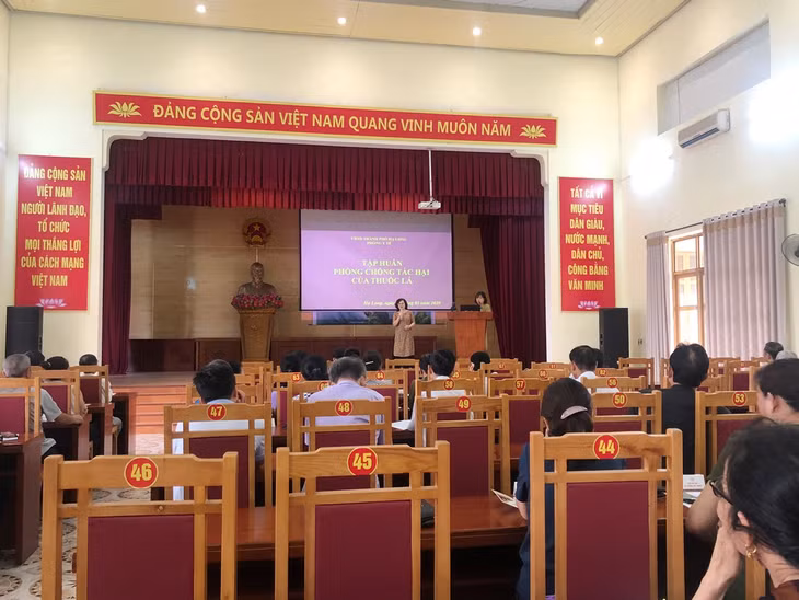 Phòng Y tế TP Hạ Long tổ chức tập huấn phòng chống tác hại của thuốc lá tại phường Hoành Bồ.