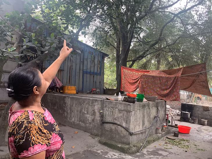 Bà Lâm Thị Hậu chỉ cho chúng tôi thấy bụi phủ trắng cây cối trong vườn nhà mình.