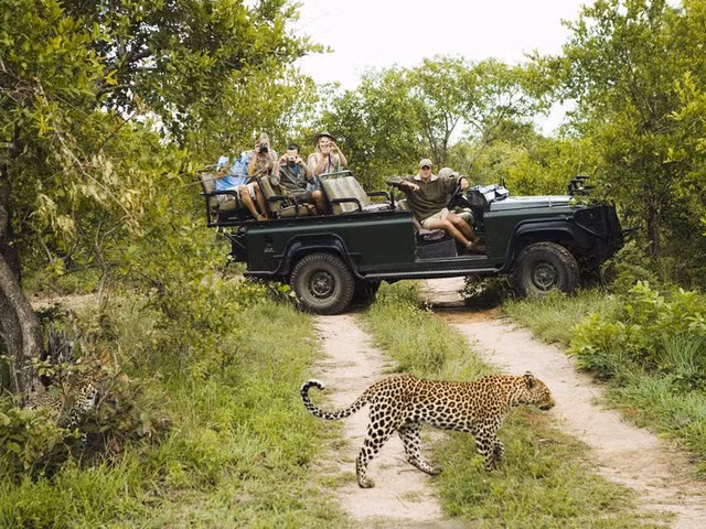 Du khách có thể thuê xe riêng khám phá thế giới động vật hoang dã xung quanh Kruger đã trở thành vườn quốc gia đầu tiên của Nam Phi vào năm 1926. Đây là quần thể sinh thái rộng lớn với diện tích lên tới 2 triệu ha. Nơi đây sở hữu những thảo nguyên rộng lớn, thảm thực vật rậm rạp, là khu bảo tồn động vật hoang dã lớn nhất Nam Phi. Kruger là nơi cư trú của hàng trăm loài, thu hút hơn 1,8 triệu lượt khách vào năm ngoái.